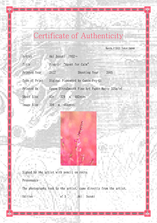 「ピンク　－１－」寛ぎの使者