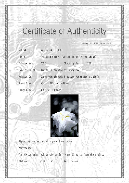 「静かな色」-夢心地シリーズ